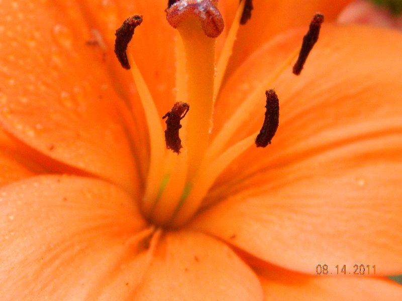 DSCN0678.JPG