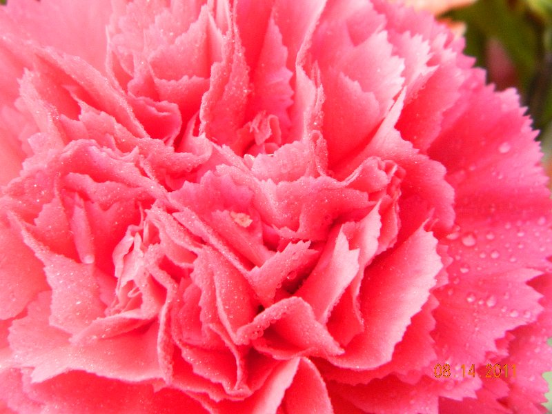 DSCN0679.JPG