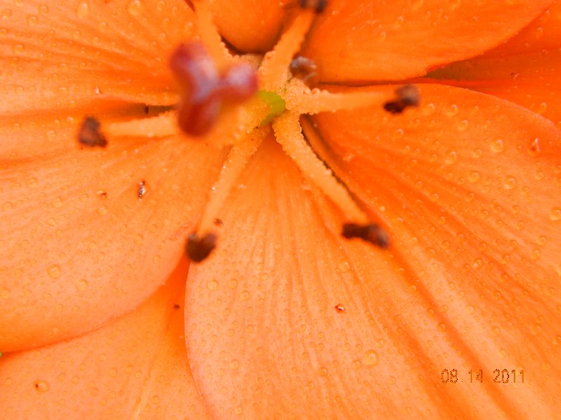 DSCN0680.JPG