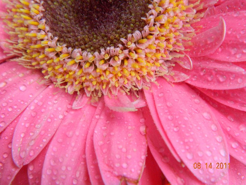 DSCN0682.JPG