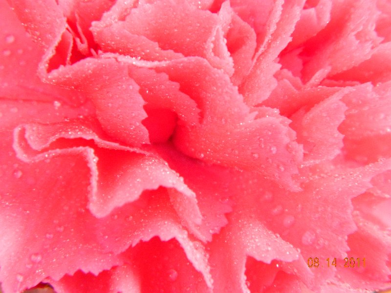 DSCN0684.JPG