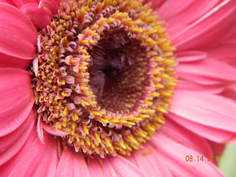 DSCN0686.JPG