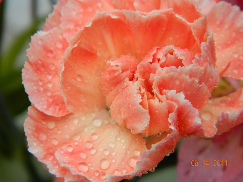 DSCN0687.JPG