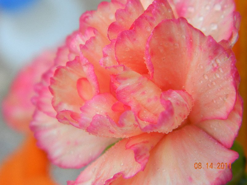 DSCN0688.JPG