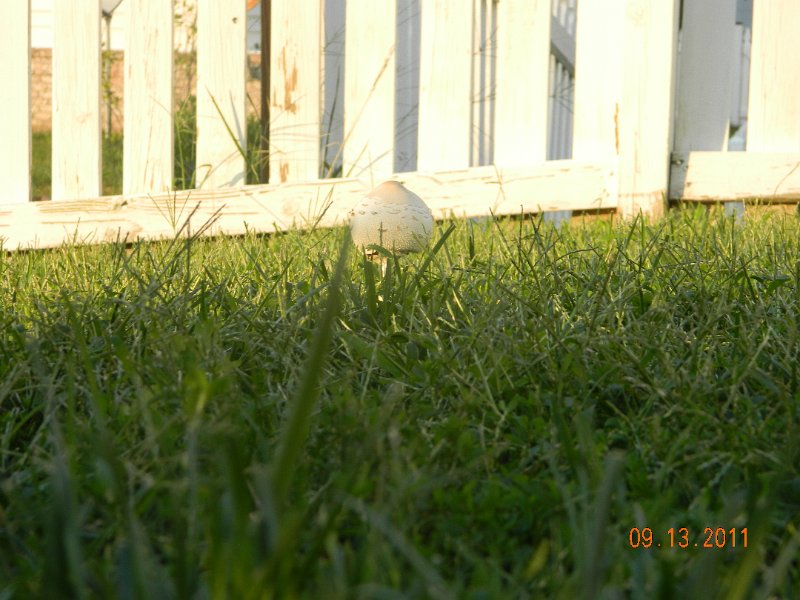 DSCN0863.JPG