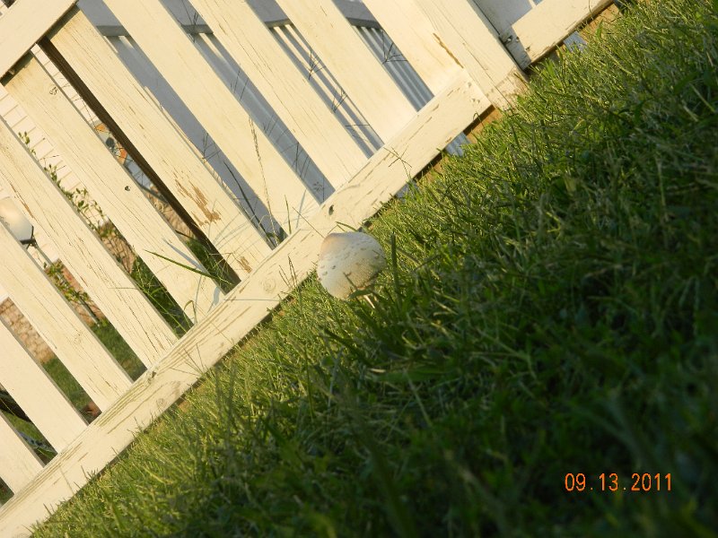 DSCN0864.JPG