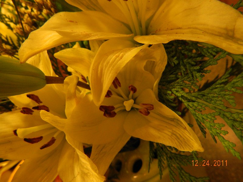 DSCN1626.JPG