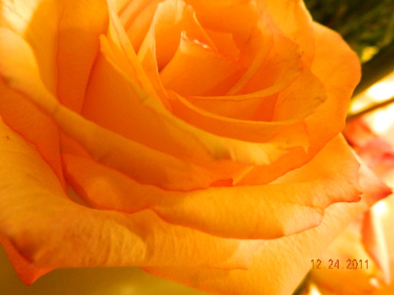 DSCN1631.JPG