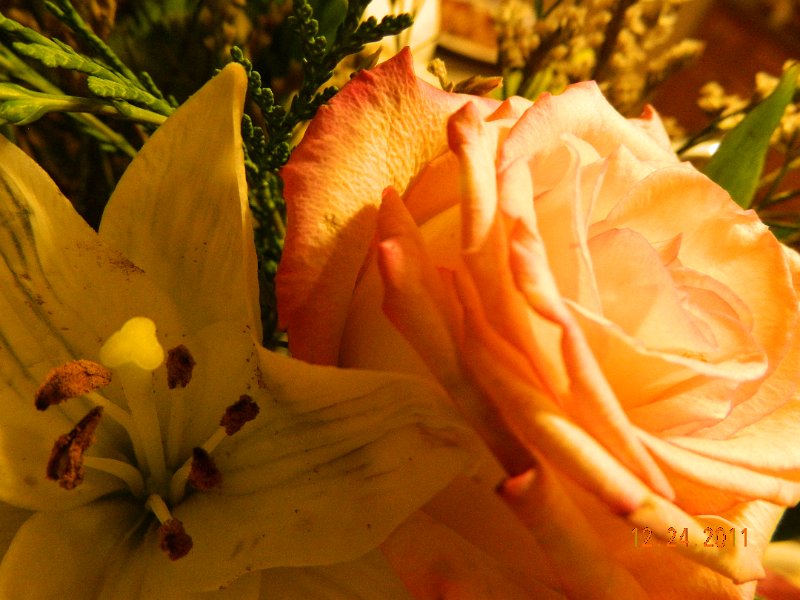 DSCN1636.JPG