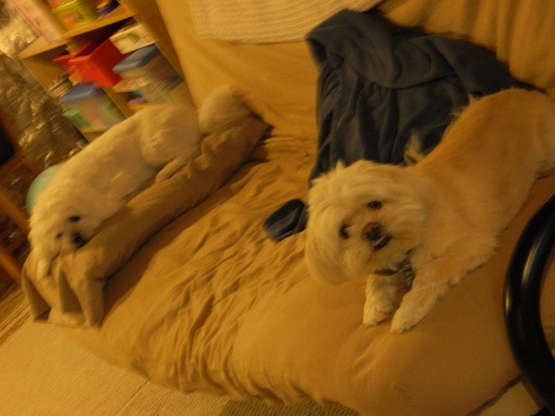 DSCN0165.JPG