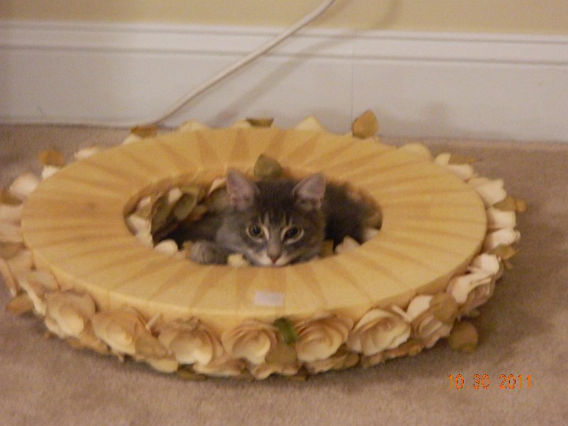 DSCN1188.JPG