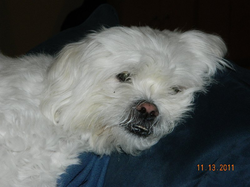 DSCN1321.JPG