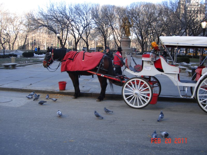 DSC05257.JPG