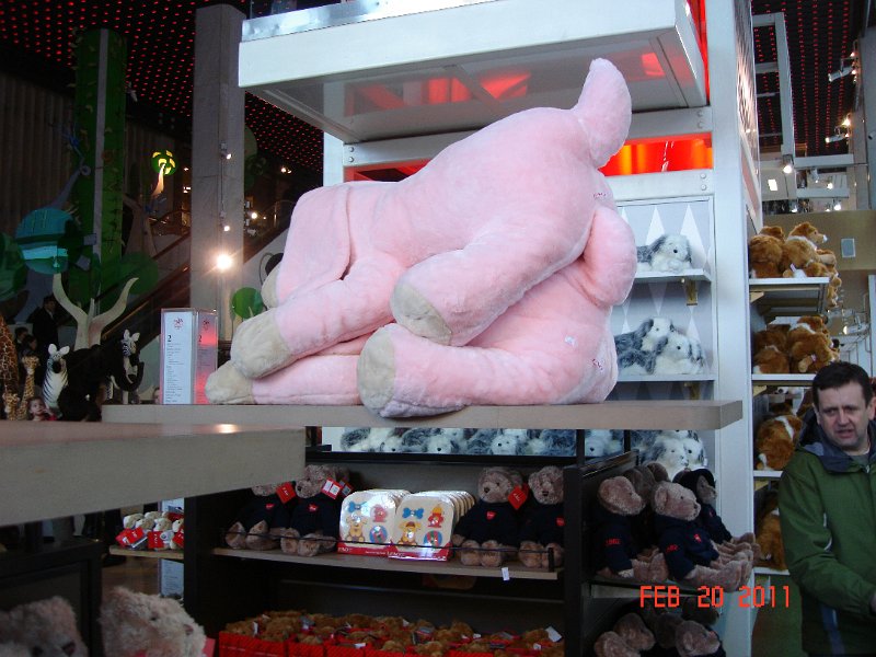 DSC05277.JPG