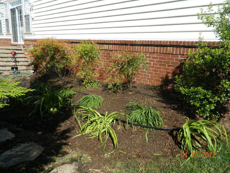 DSCN1764.JPG