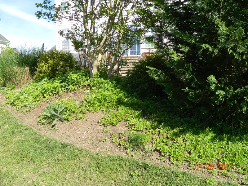 DSCN1772.JPG
