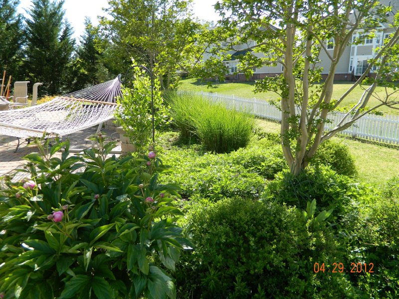 DSCN1775.JPG