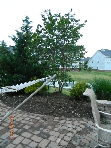 DSCN1859.JPG