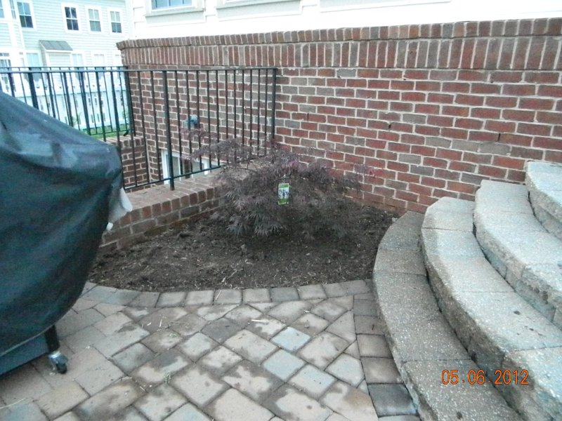DSCN1863.JPG