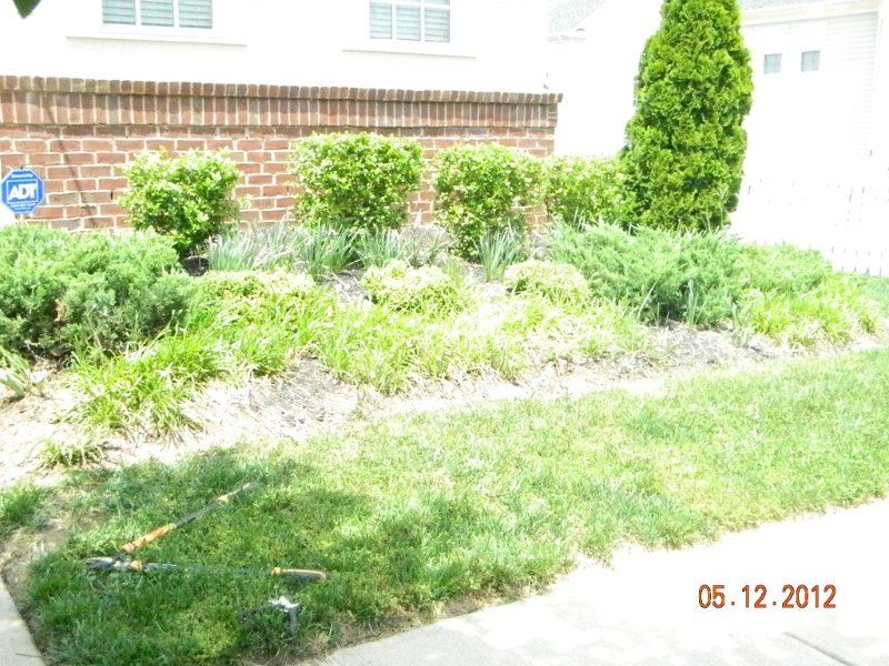 DSCN1890.JPG