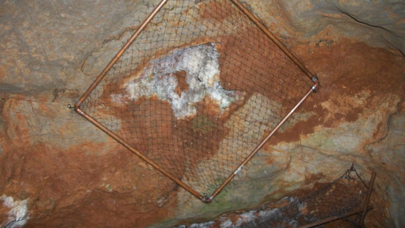 100_2061.JPG