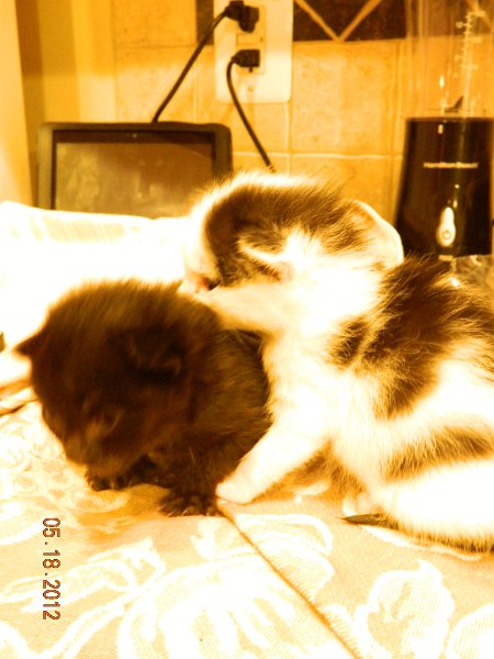 DSCN1907.JPG - 