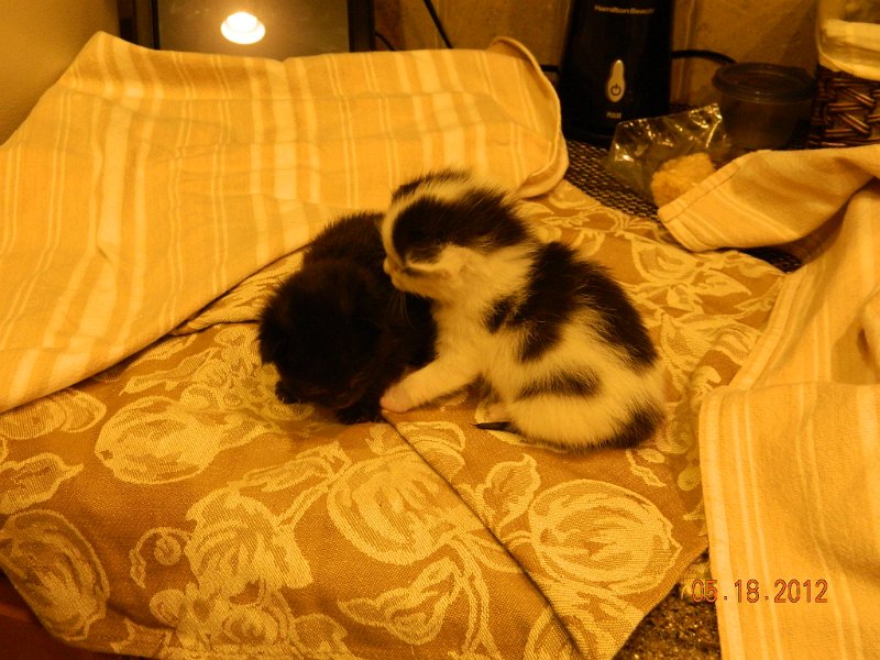 DSCN1908.JPG