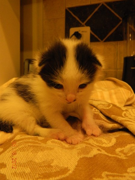 DSCN1911.JPG - 