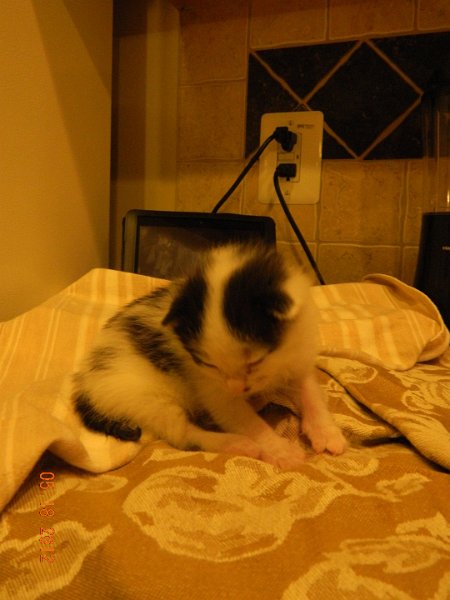 DSCN1912.JPG - 