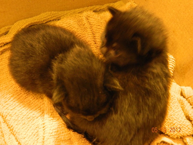 DSCN1930.JPG