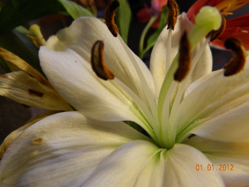 DSCN1641.JPG