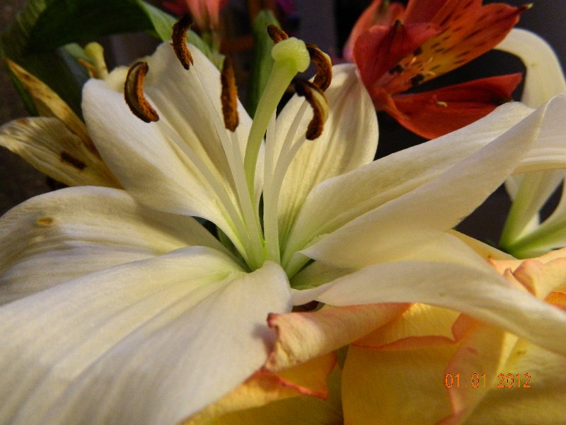 DSCN1642.JPG