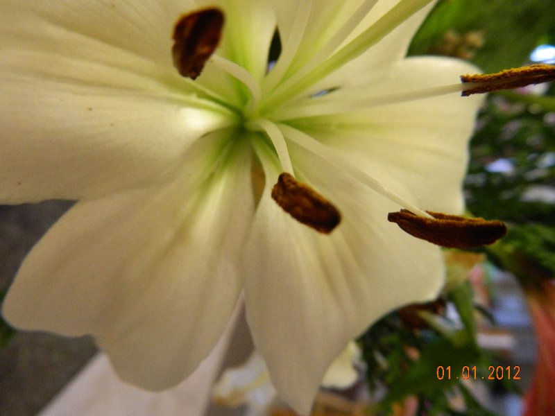 DSCN1643.JPG