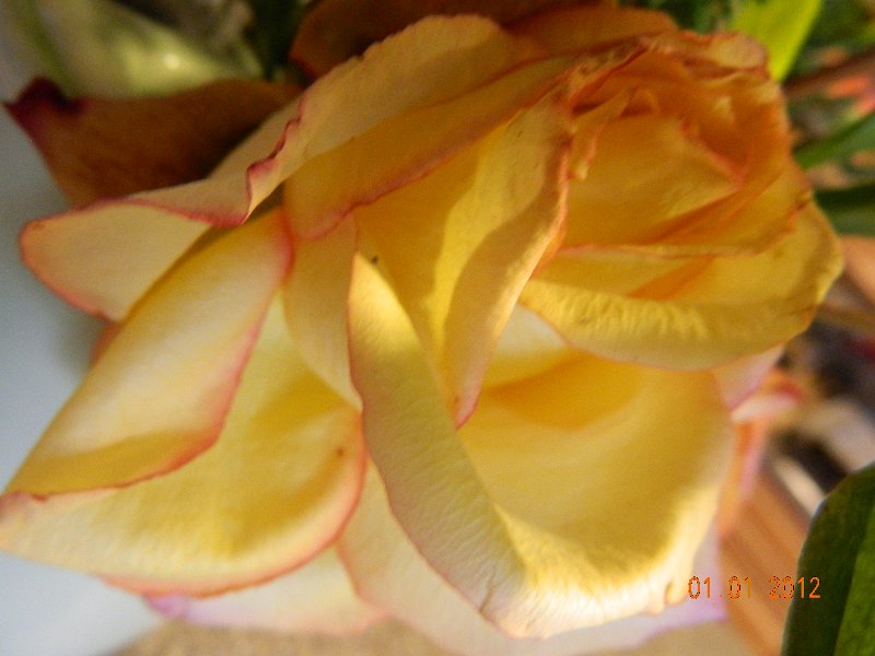 DSCN1644.JPG