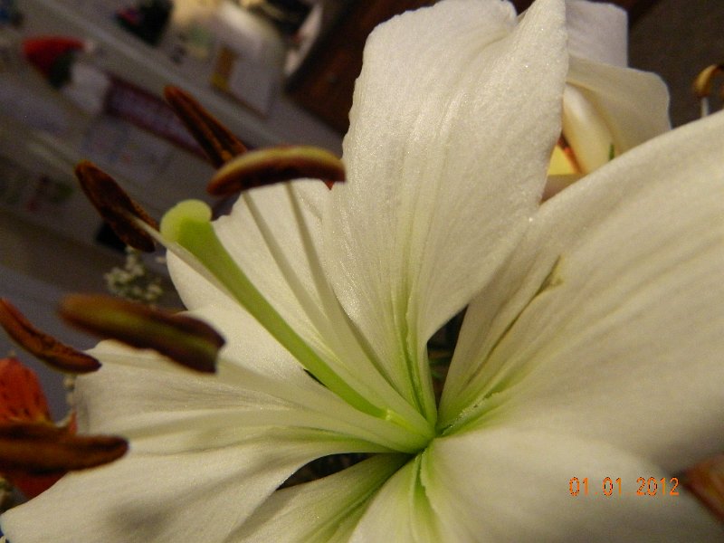 DSCN1645.JPG