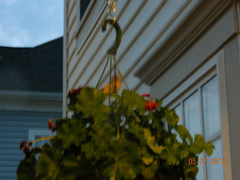 DSCN1945.JPG