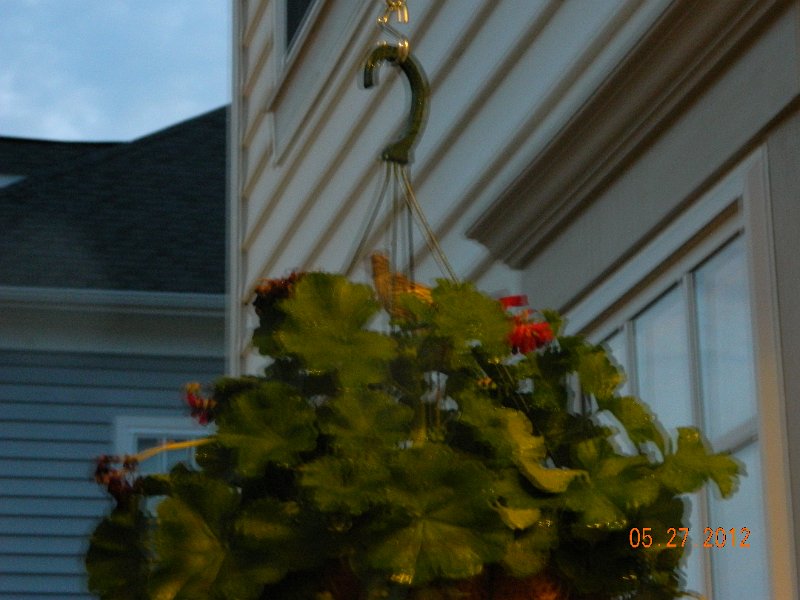 DSCN1946.JPG