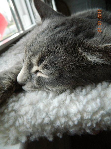 DSCN1646.JPG - 