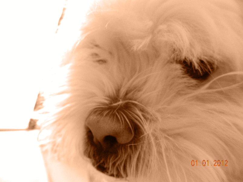 DSCN1664.JPG