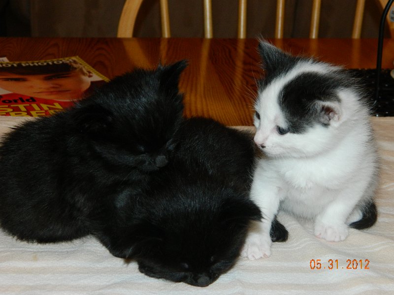 DSCN1995.JPG