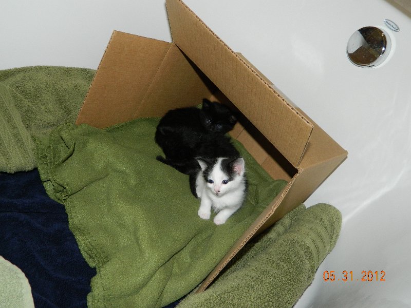 DSCN2001.JPG