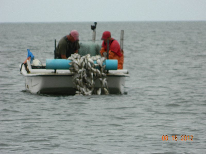 DSCN2102.JPG