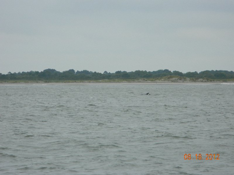 DSCN2108.JPG