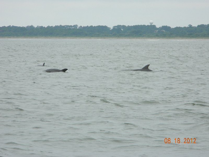 DSCN2114.JPG