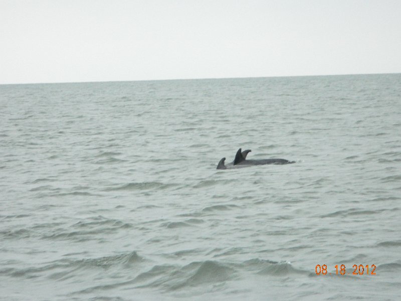 DSCN2116.JPG