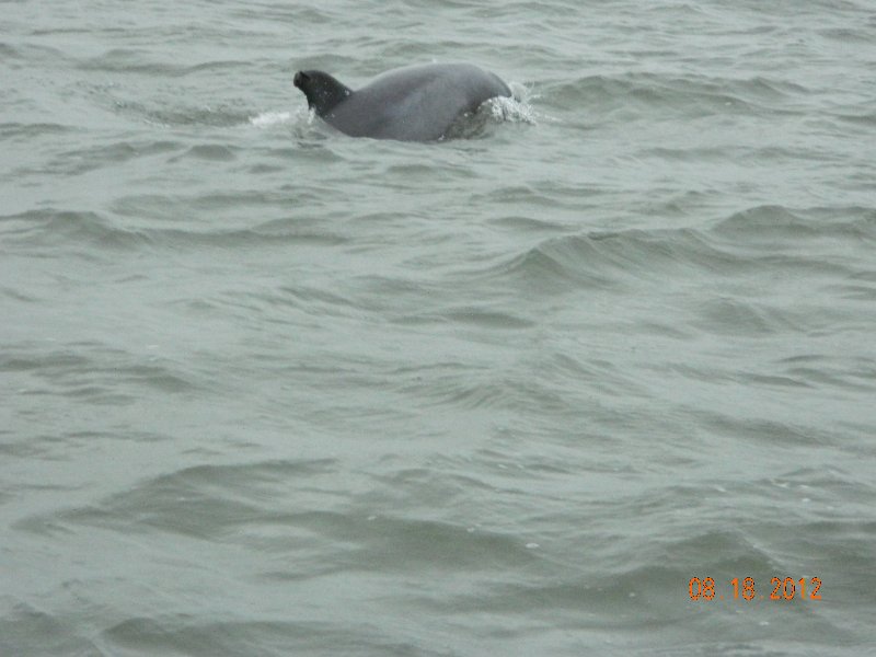 DSCN2122.JPG