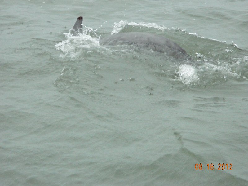 DSCN2125.JPG