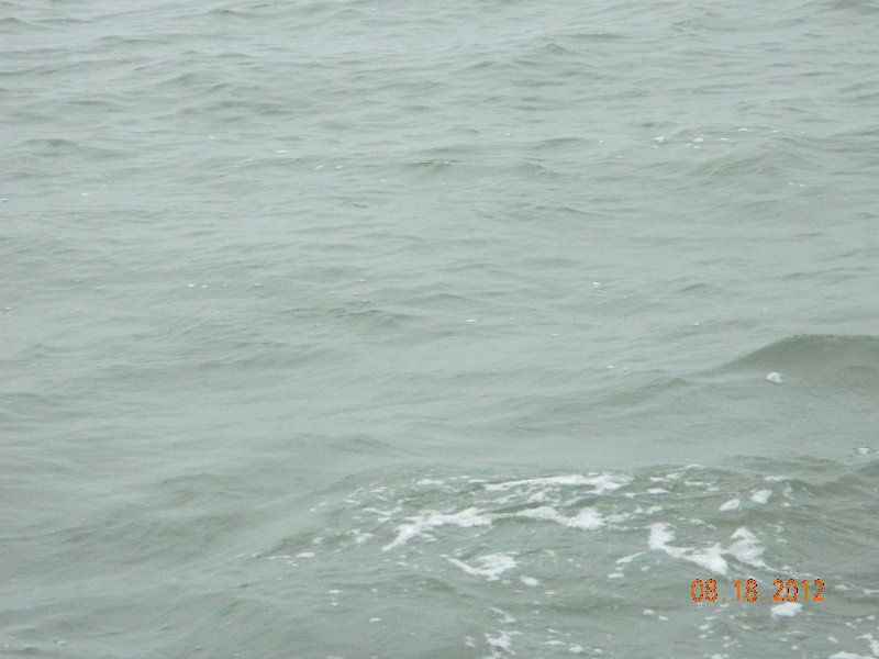 DSCN2129.JPG