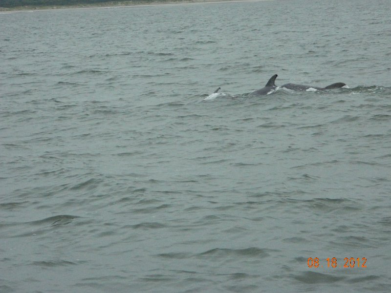 DSCN2135.JPG