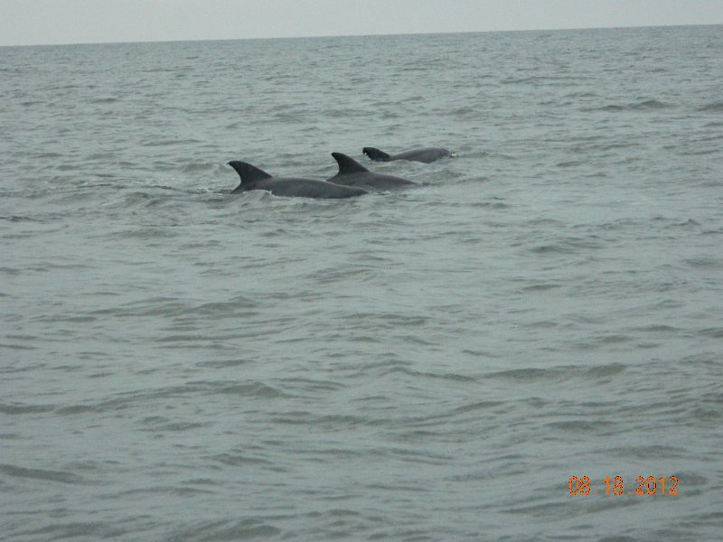 DSCN2140.JPG